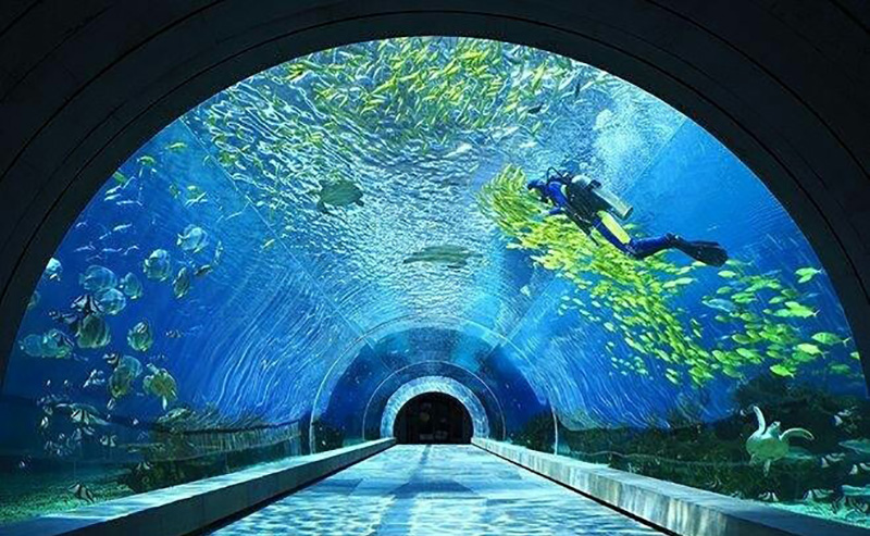 三亞潛水攻略，潛水內幕（原文螞蜂窩）