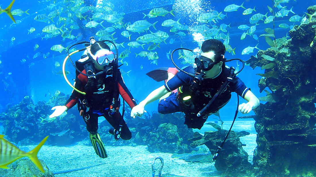 潛水運動(dòng)的由來(lái)