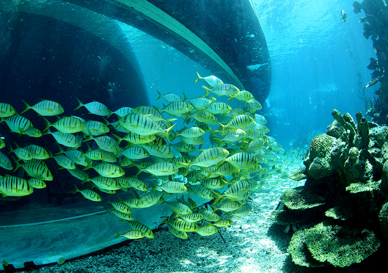 水中你必須注意的十個(gè)細節