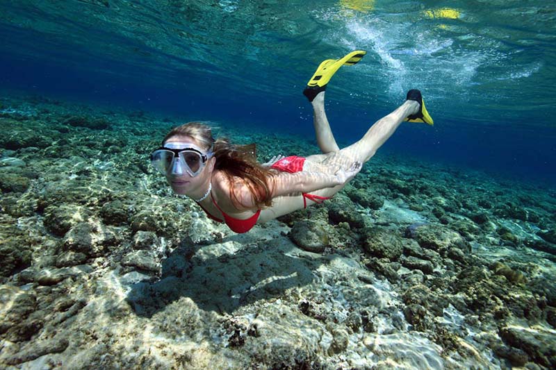 自由潛究竟危不危險？