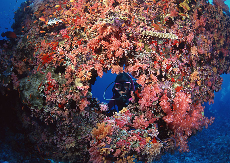 潛水可以用防曬霜嗎