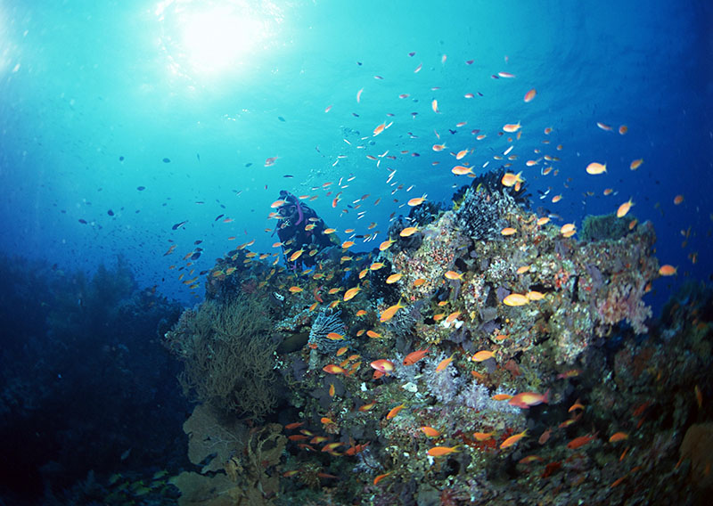 潛水有無(wú)身體條件和年齡限制？