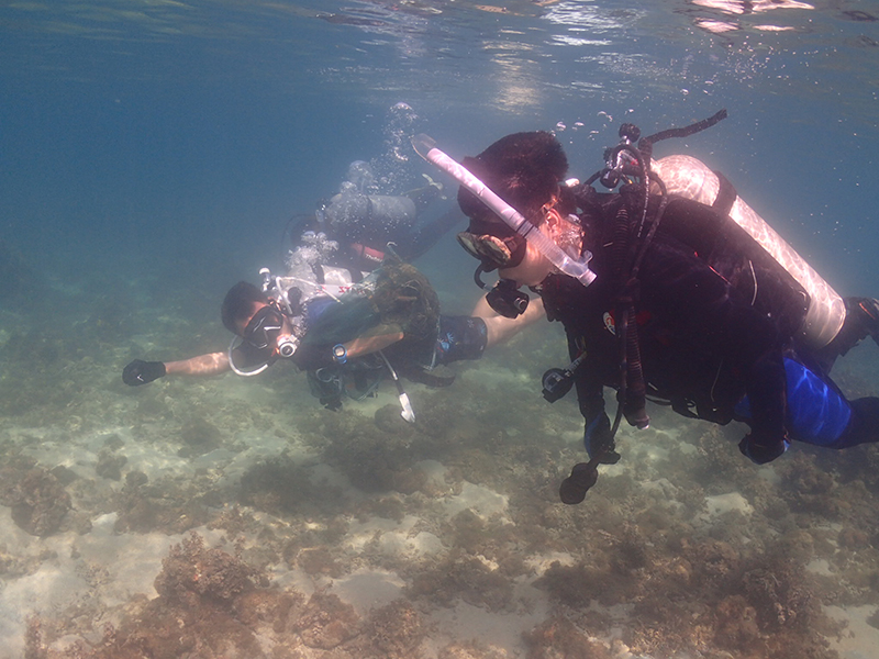 初學(xué)潛水易犯的錯誤