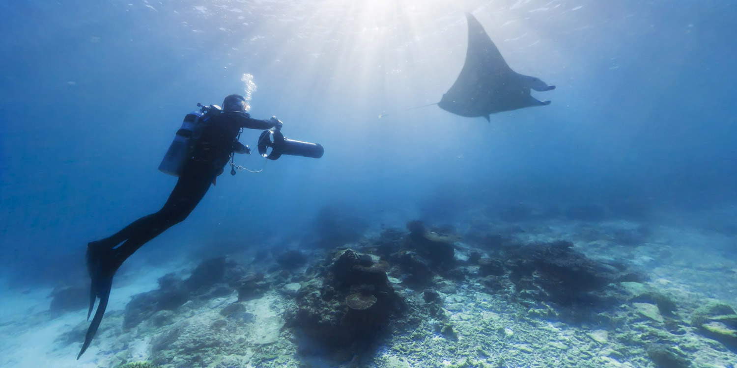 注意，這幾種情況下不能潛水