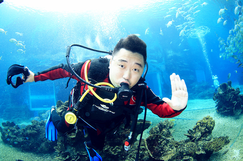 七個(gè)學(xué)習潛水的理由
