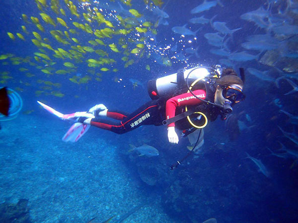 與一位小姐姐的潛水邂逅之旅