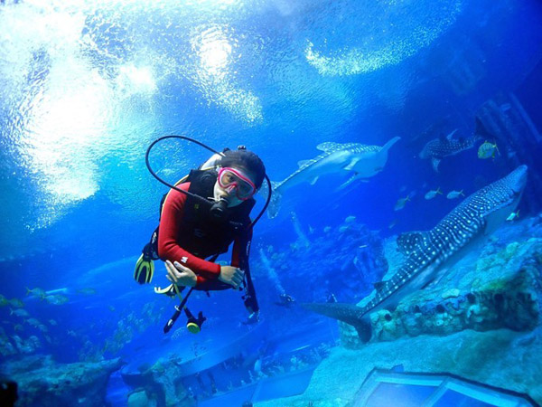 潛在水里，學(xué)做一條靜靜的魚(yú)