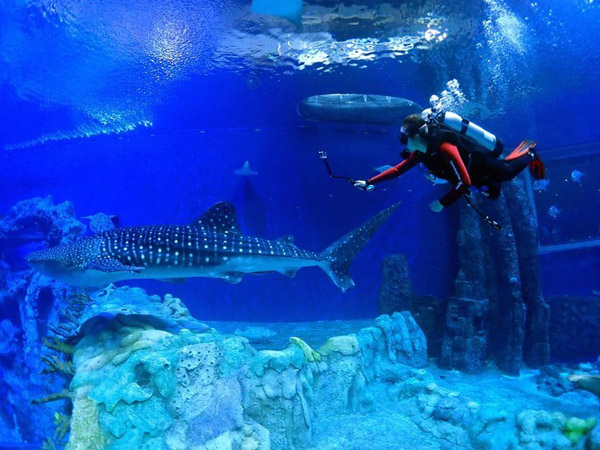 潛在水里，學(xué)做一條靜靜的魚(yú)