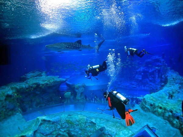 潛在水里，學(xué)做一條靜靜的魚(yú)