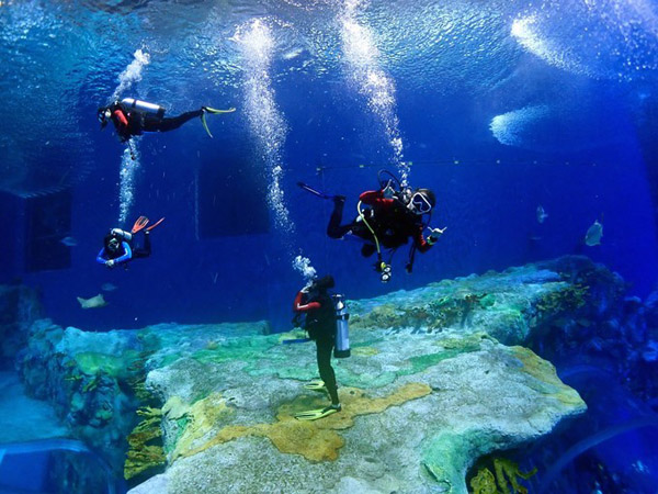 潛在水里，學(xué)做一條靜靜的魚(yú)