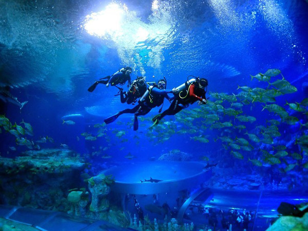 潛在水里，學(xué)做一條靜靜的魚(yú)