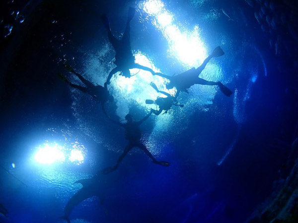 潛在水里，學(xué)做一條靜靜的魚(yú)