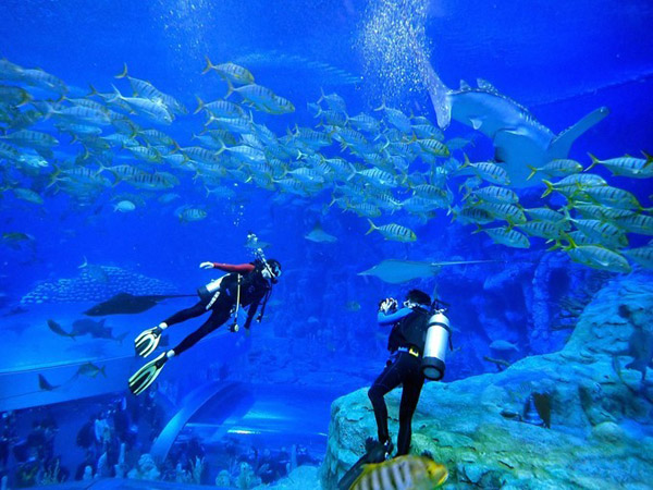 潛在水里，學(xué)做一條靜靜的魚(yú)