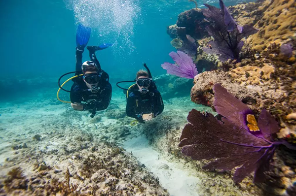 【水肺潛水安全嗎？】轉自PADI