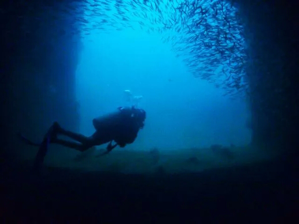 潛水拍照新姿勢，放下你的剪刀手，我們來(lái)這樣拍