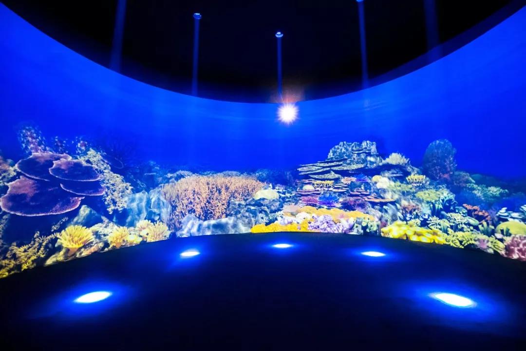 即將有一場(chǎng)海洋沉浸式體驗互動(dòng)展在上海舉辦
