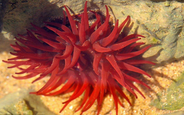 等指?？? title=