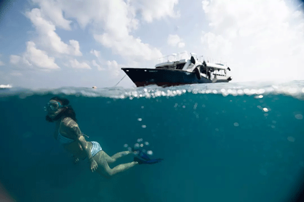 FX的船宿之旅---馬爾代夫（四方線(xiàn)）