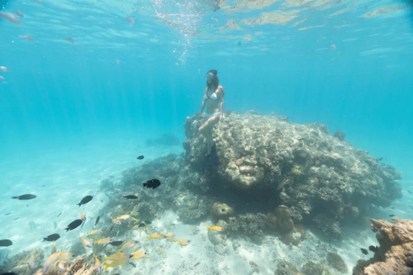 FX的船宿之旅---馬爾代夫（四方線(xiàn)）