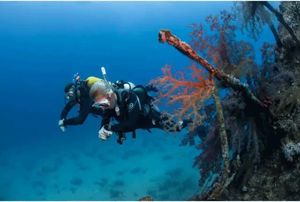 成為潛水員之前的你，是不是也問(wèn)過(guò)這些問(wèn)題？