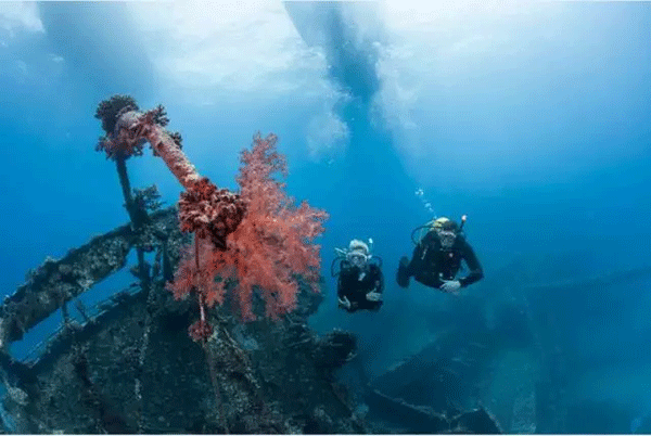 成為潛水員之前的你，是不是也問(wèn)過(guò)這些問(wèn)題？