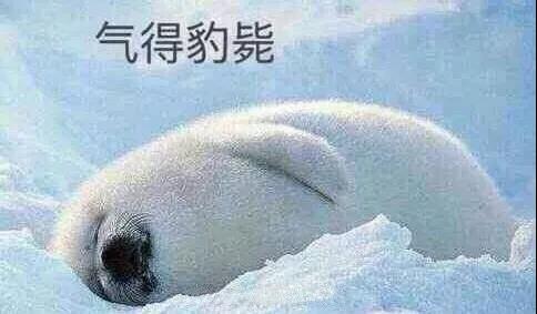 原來(lái)你是這樣的潛水員妹子！