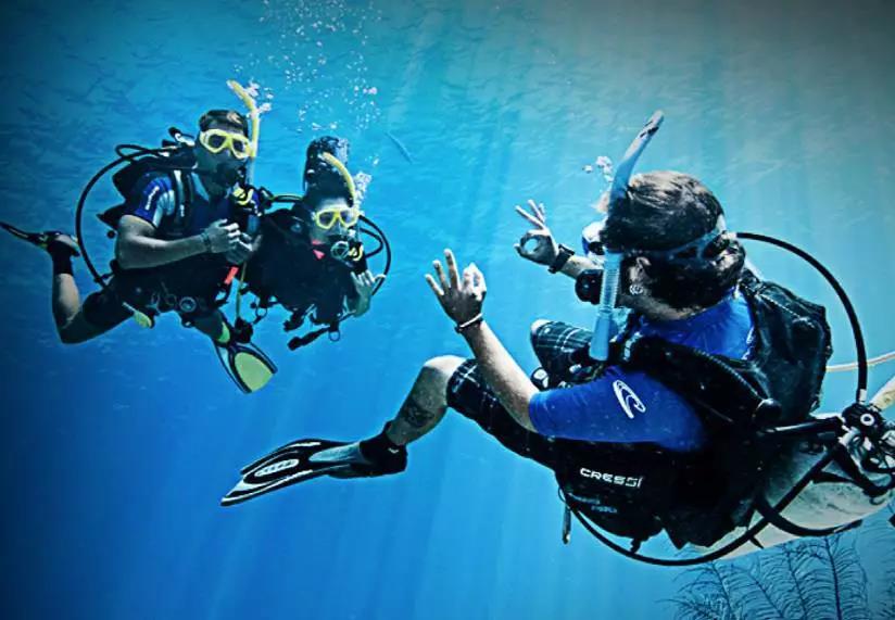 原來(lái)你是這樣的潛水員妹子！