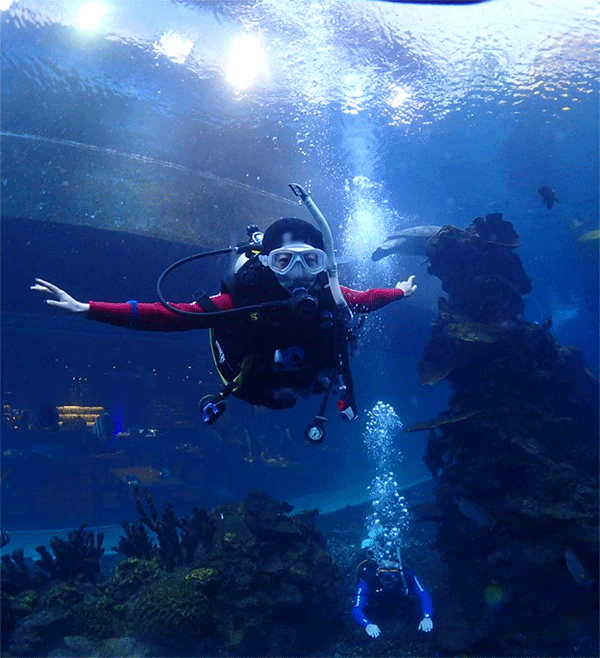 潛水常見(jiàn)問(wèn)題，原來(lái)潛水沒(méi)你想的那么難