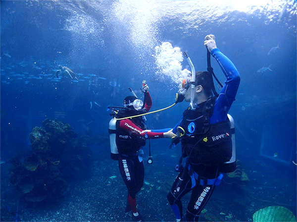 潛水常見(jiàn)問(wèn)題，原來(lái)潛水沒(méi)你想的那么難