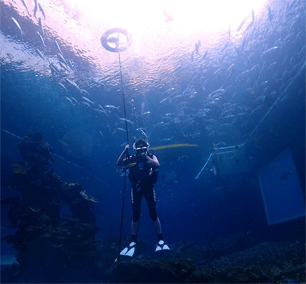 潛水常見(jiàn)問(wèn)題，原來(lái)潛水沒(méi)你想的那么難