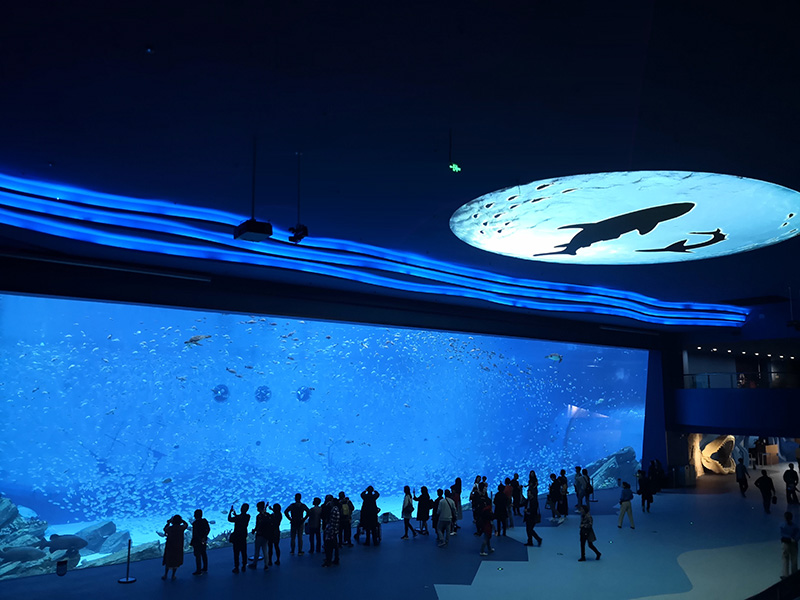 上海海昌極地海洋世界寶華壓縮機投入使用