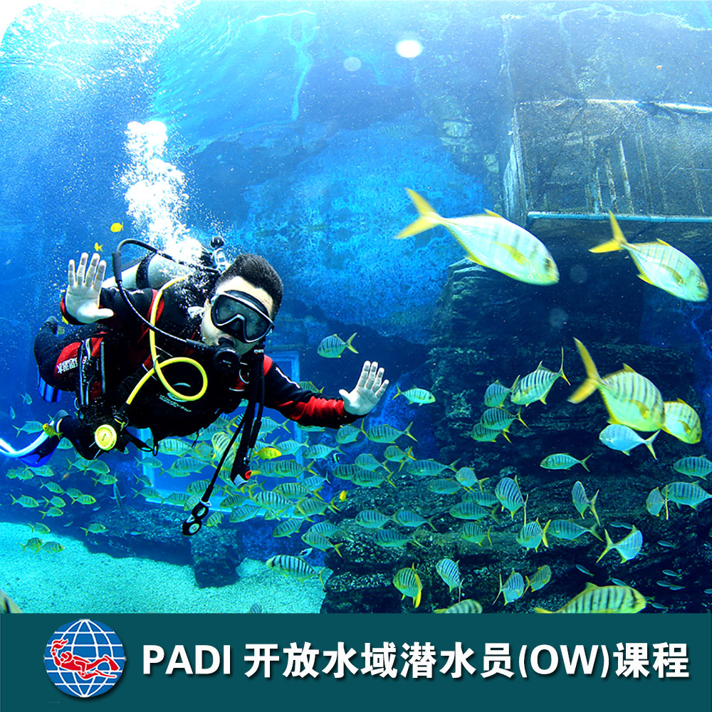 三亞PADI開(kāi)放水域潛水員課程