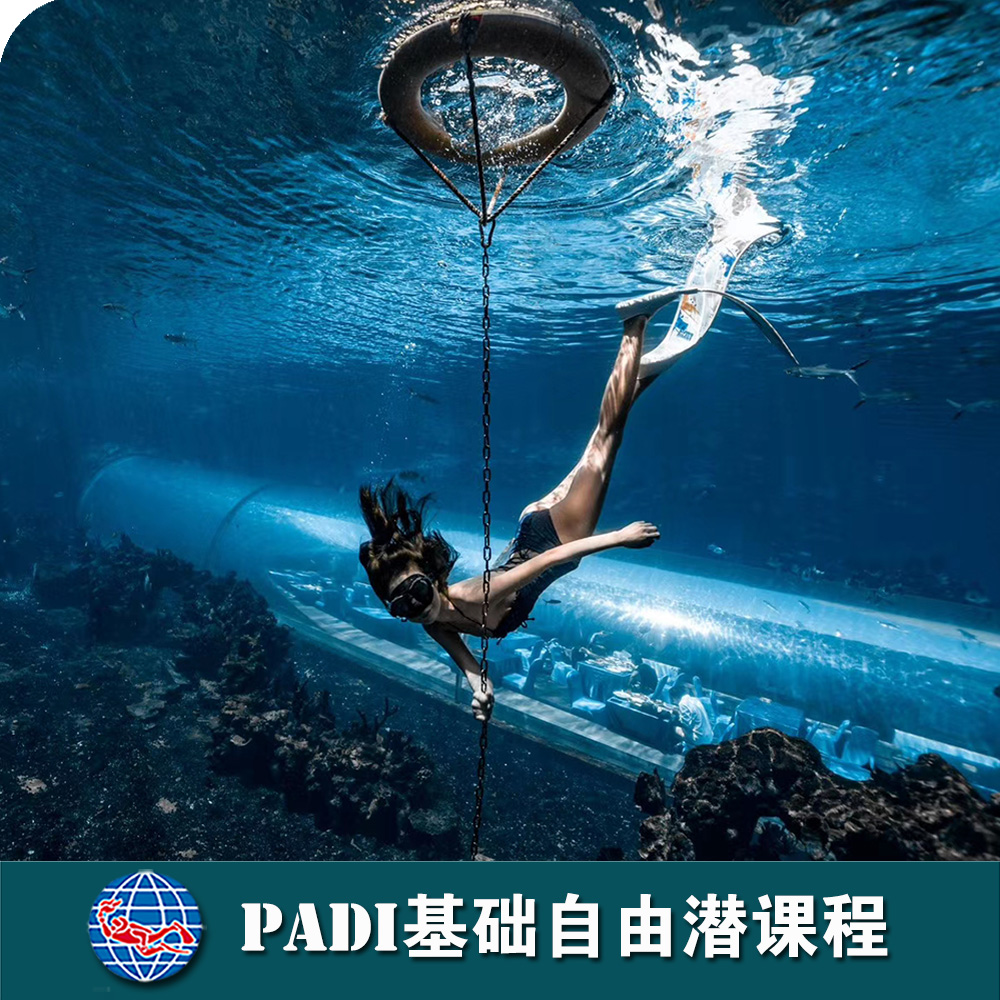 三亞PADI基礎自由潛課程