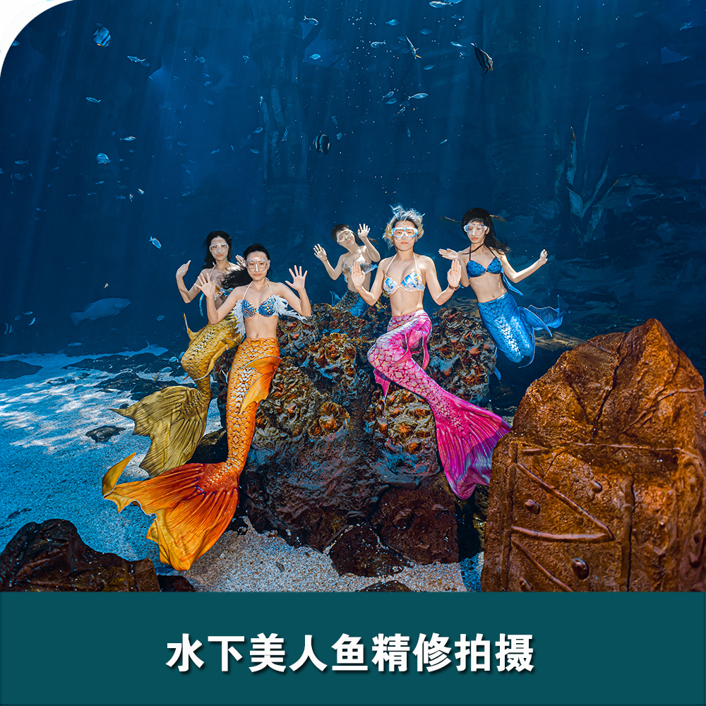 舟山長(cháng)喬海洋公園水下美人魚(yú)拍攝