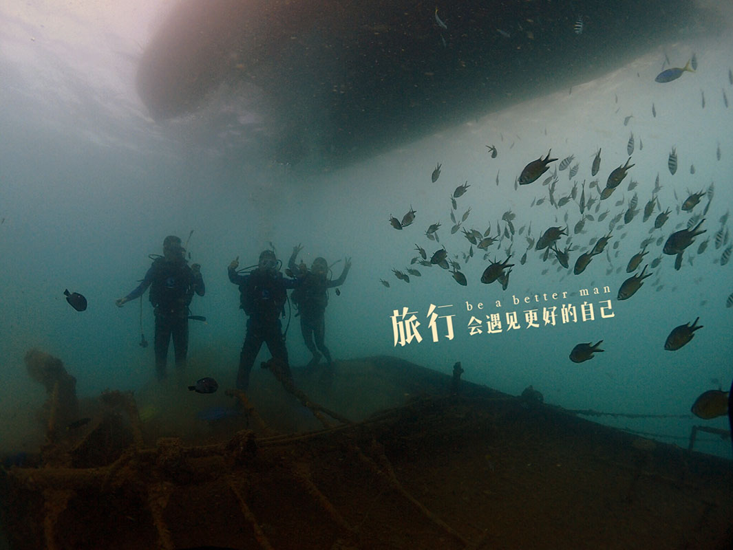 除了俯瞰大地的飛翔，還有潛入海底的翱翔。