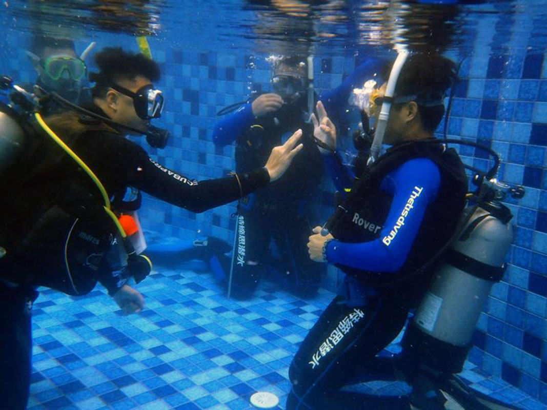 除了俯瞰大地的飛翔，還有潛入海底的翱翔。
