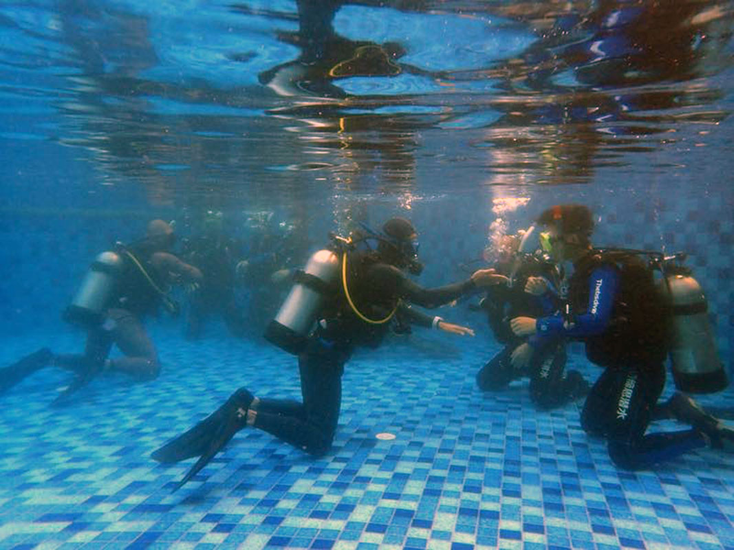 除了俯瞰大地的飛翔，還有潛入海底的翱翔。