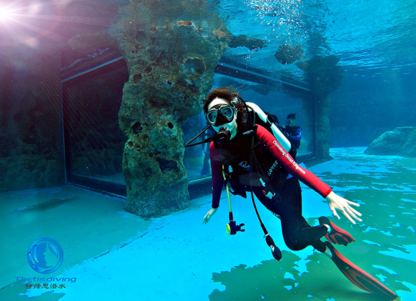 珠海長(cháng)隆海洋王國啟動(dòng)海豚島潛水