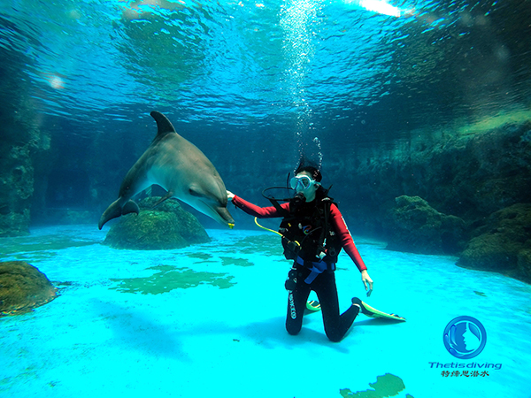 珠海長(cháng)隆海洋王國啟動(dòng)海豚島潛水