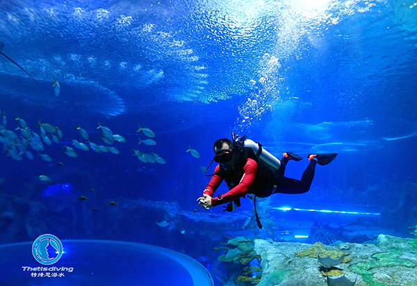 珠海長(cháng)隆海洋王國啟動(dòng)潛水項目運營(yíng)