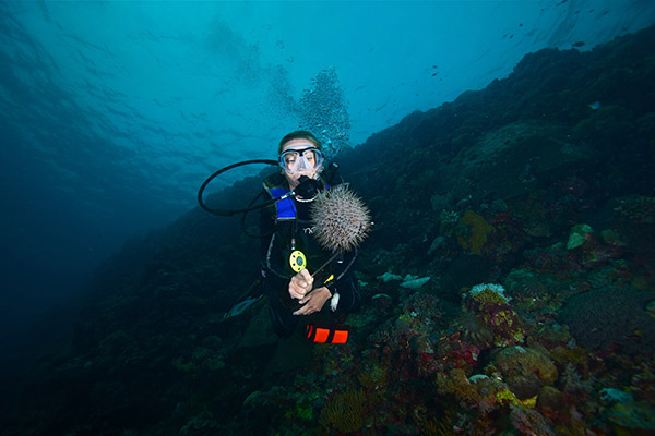 什么是耳壓平衡？